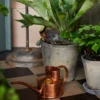 Haws Mini Watering Can