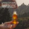 Bathing Culture - Organic Outer Being Face + Body Oil | Natural, Biodegradable, Sustainable, Vegan Personal Care