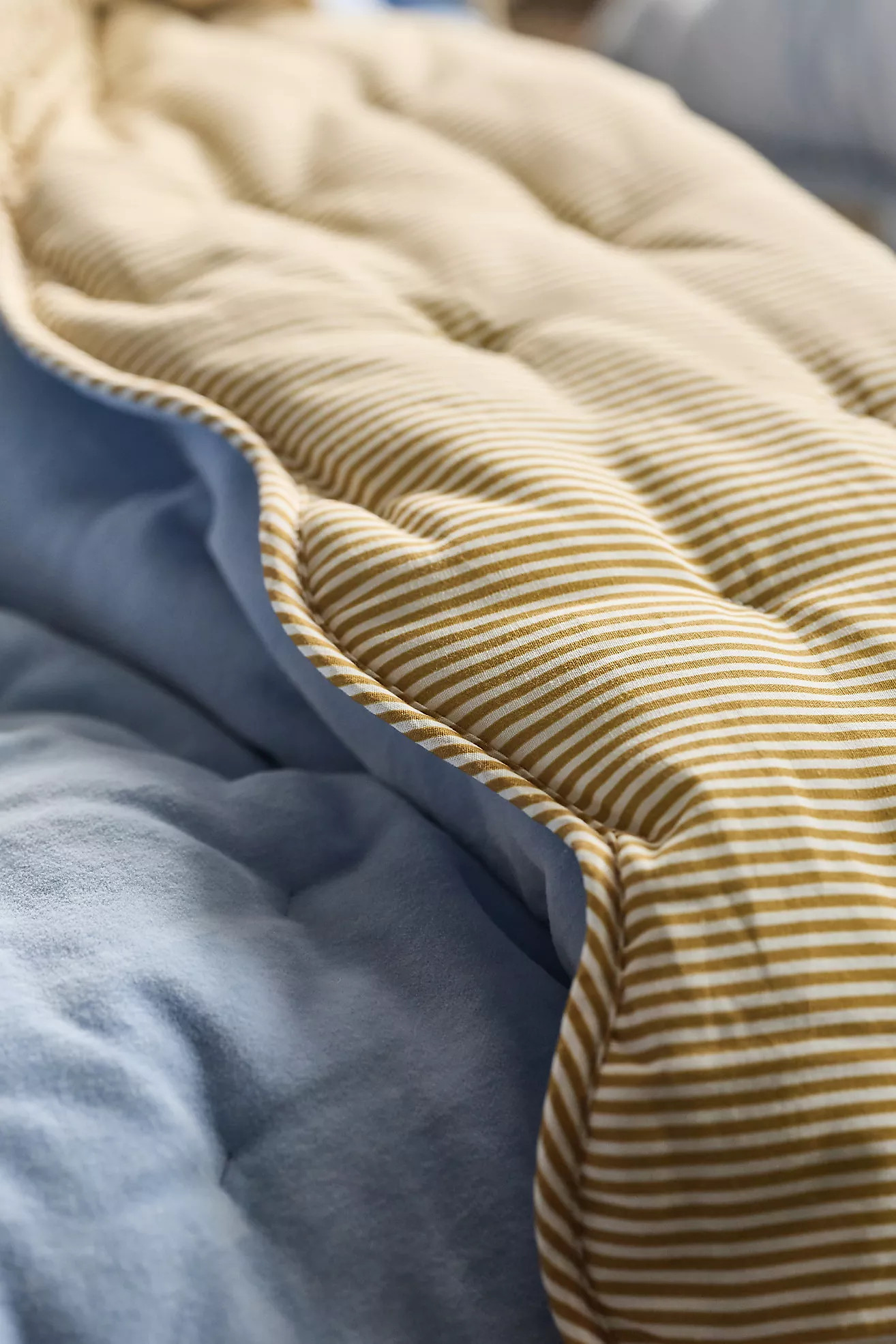 Abbott Cotton Velvet Solid Scalloped Quilt