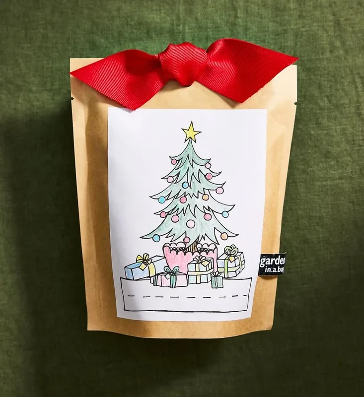 Terrain Kids’ Christmas Tree Grow Kit