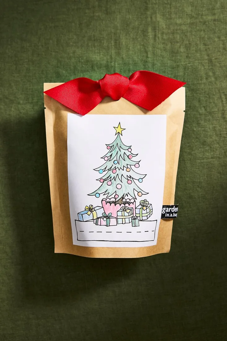 Terrain Kids’ Christmas Tree Grow Kit
