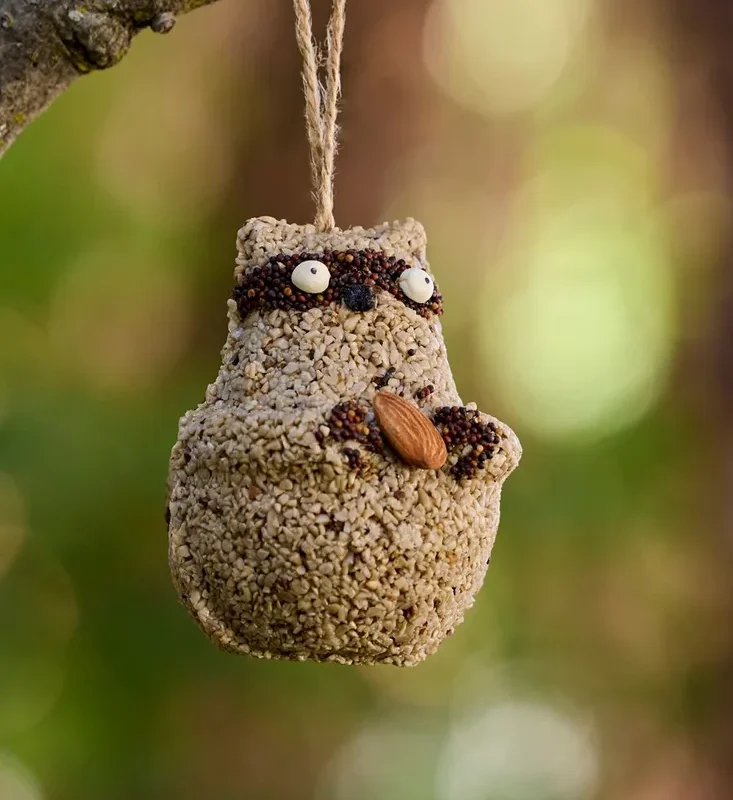 Bird Seed Raccoon