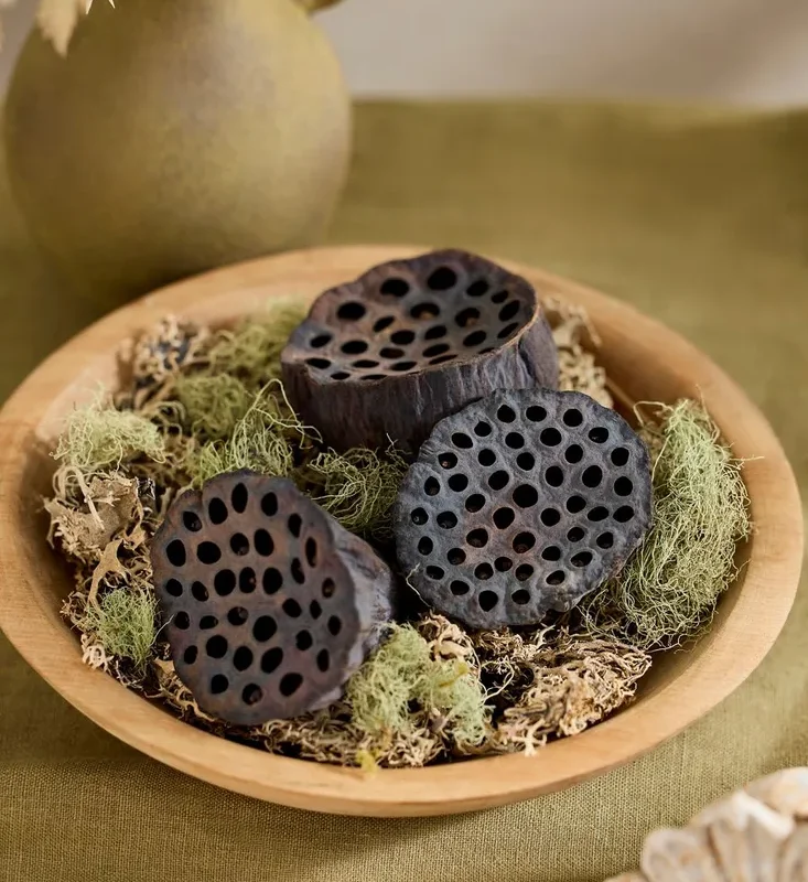 Dried Lotus Pod Bunch