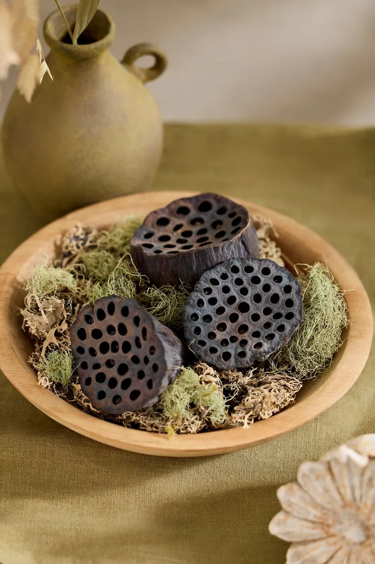 Dried Lotus Pod Bunch