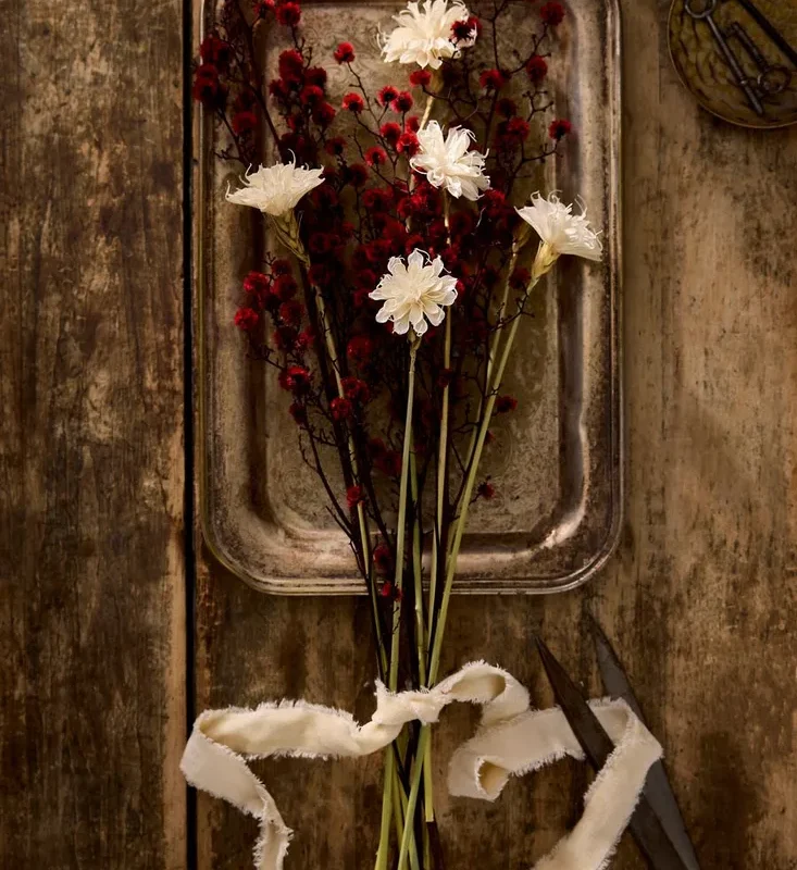 Terrain Dried White Sola Bunch