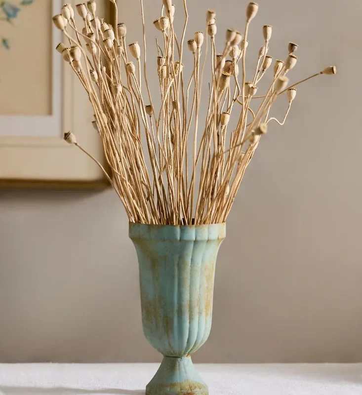 Dried Mini Papaver Bunch