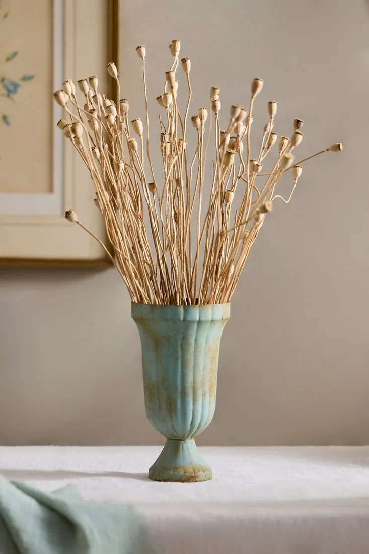 Dried Mini Papaver Bunch