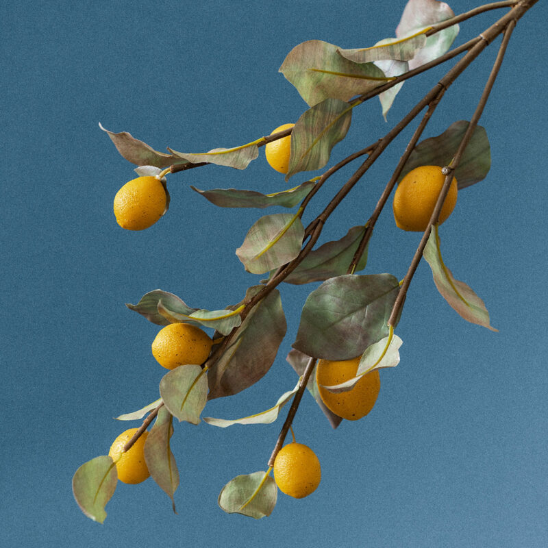 40" Lemon Branch McGee & Co.