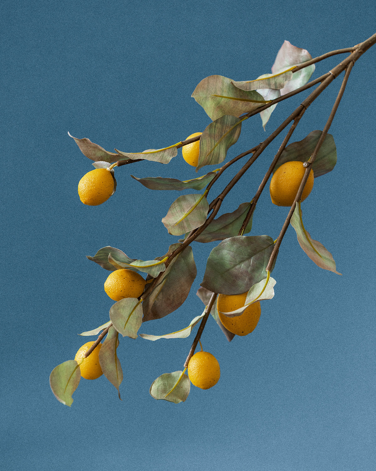 40" Lemon Branch McGee & Co.