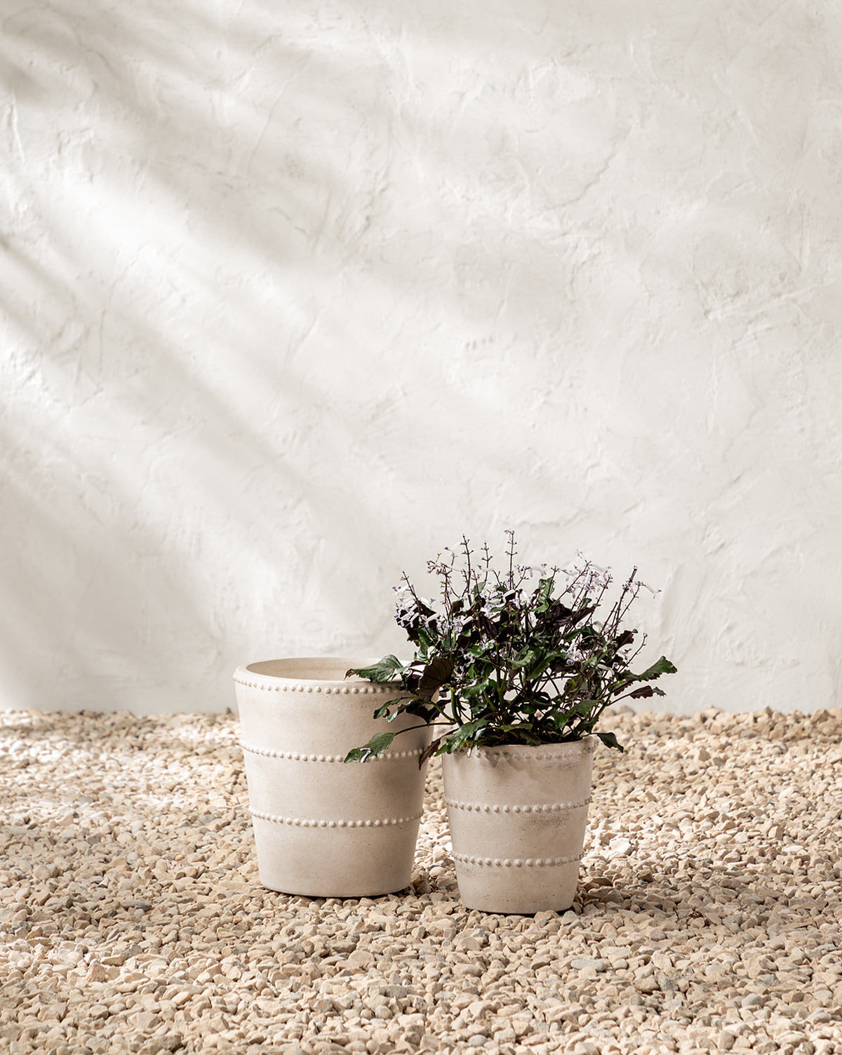 Allaston Planter McGee & Co.
