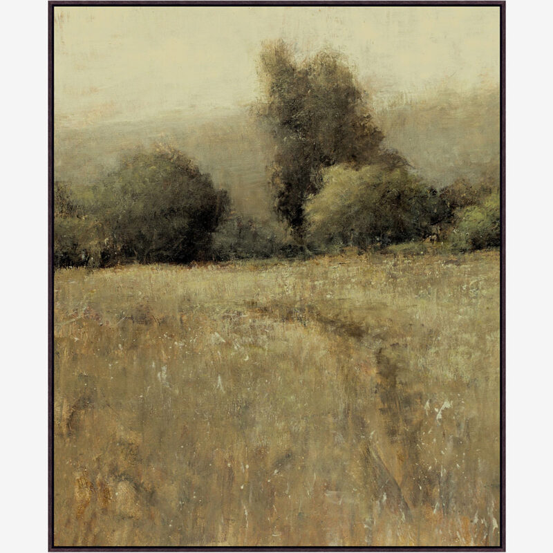 Balmy Meadow by Don Bishop McGee & Co.