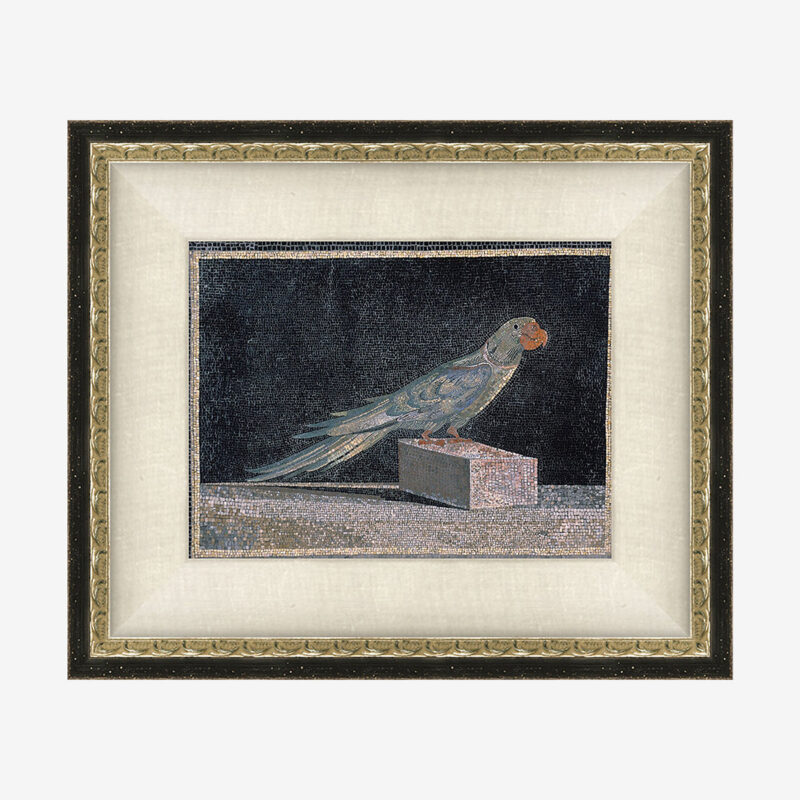 Blue Parrot McGee & Co.