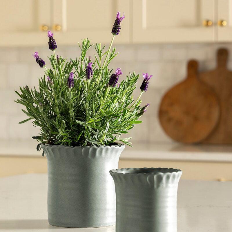 Blythe Pot McGee & Co.
