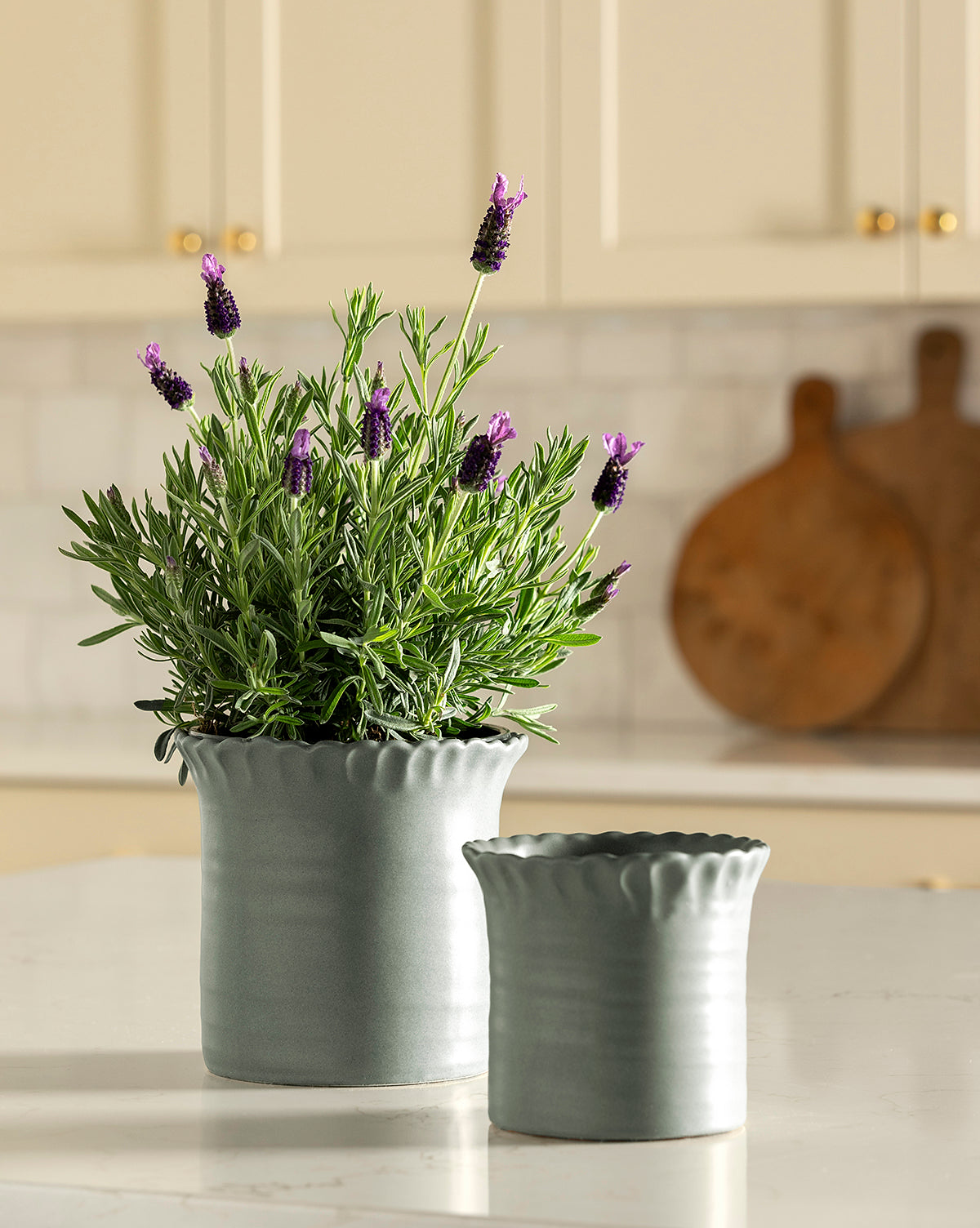 Blythe Pot McGee & Co.
