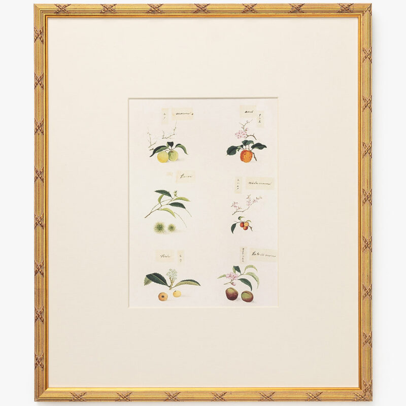 Botanical Grid 1 McGee & Co.
