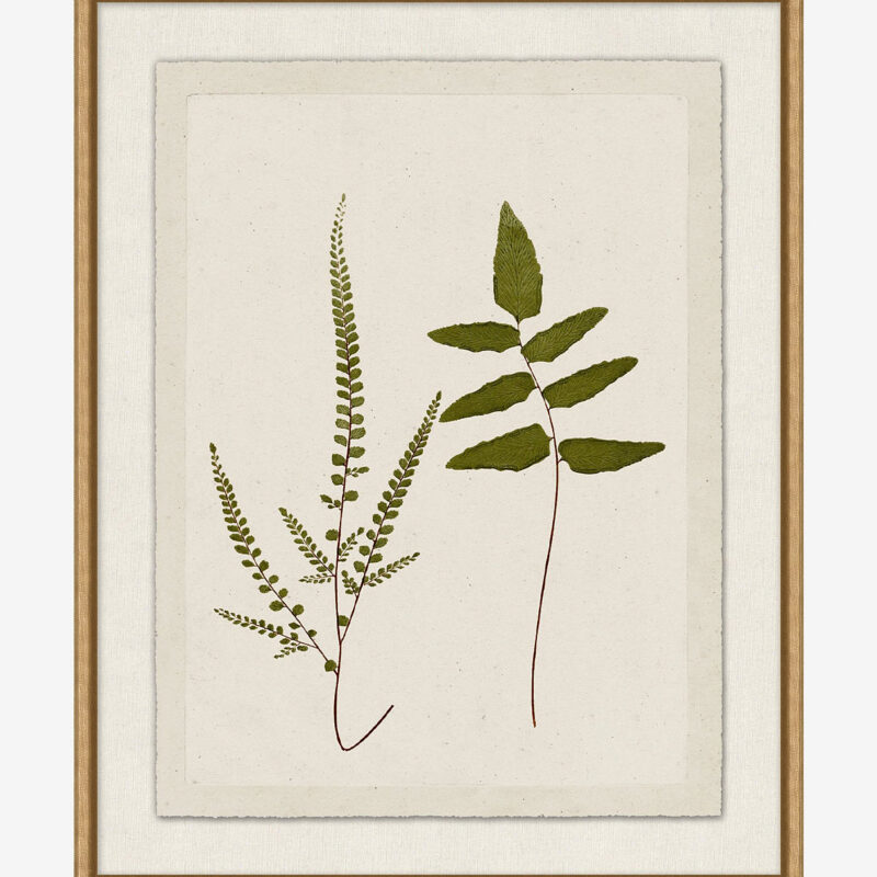 Botanical Pressings I McGee & Co.