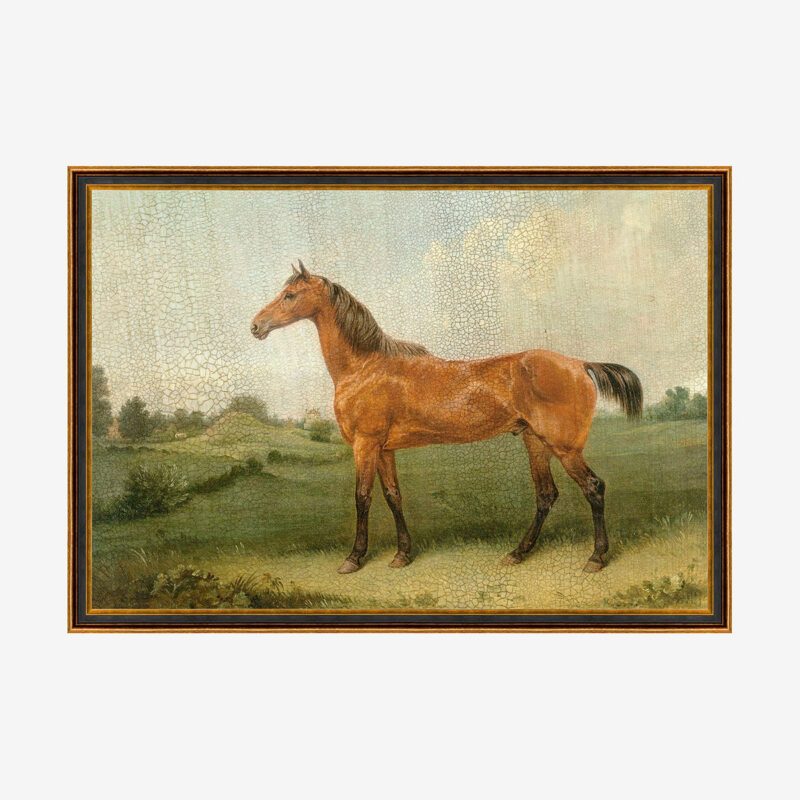 Brown Horse McGee & Co.