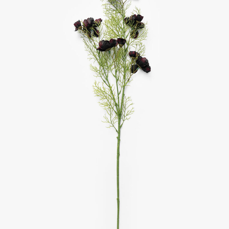 Burgundy Cosmos Stem McGee & Co.