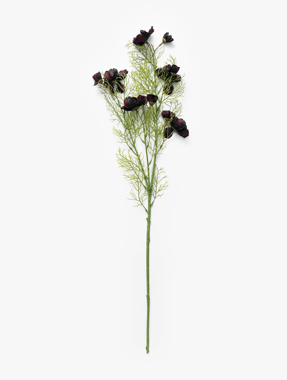 Burgundy Cosmos Stem McGee & Co.