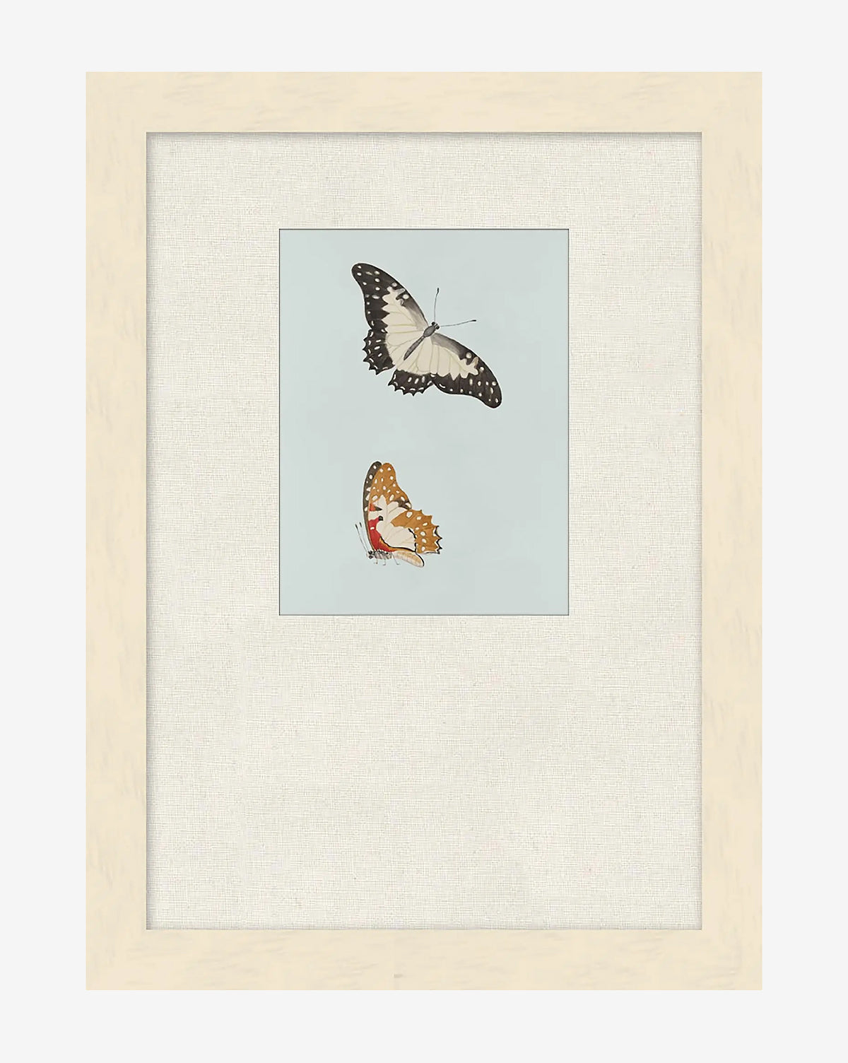 Butterflies Study II McGee & Co.