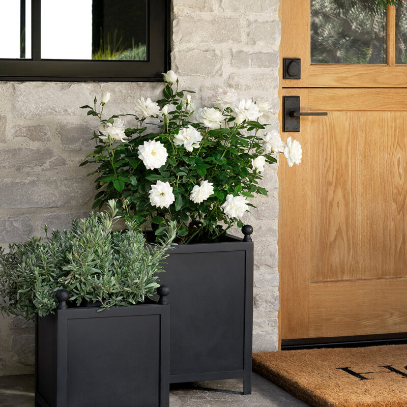 Clariance Planter McGee & Co.