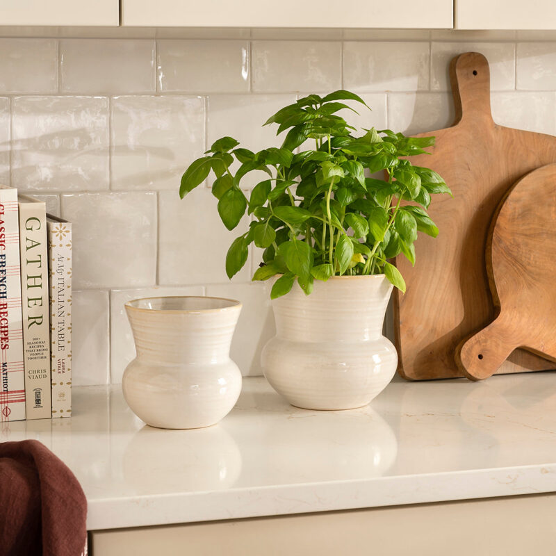 Colchester Planter McGee & Co.