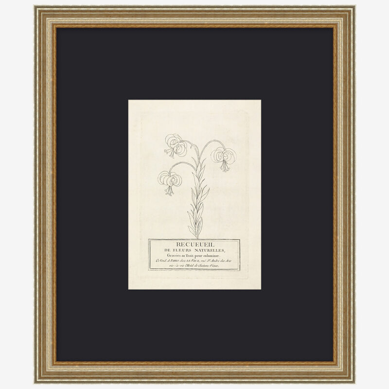 Collection Of French Flowers McGee & Co.