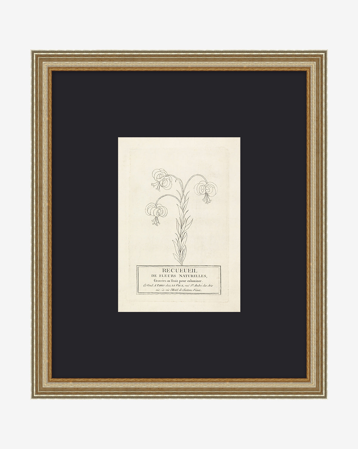 Collection Of French Flowers McGee & Co.