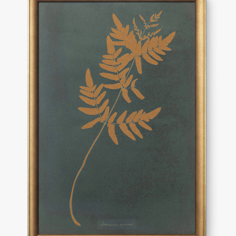 Copper Botanical 1 McGee & Co.