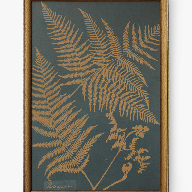 Copper Botanical 2 McGee & Co.