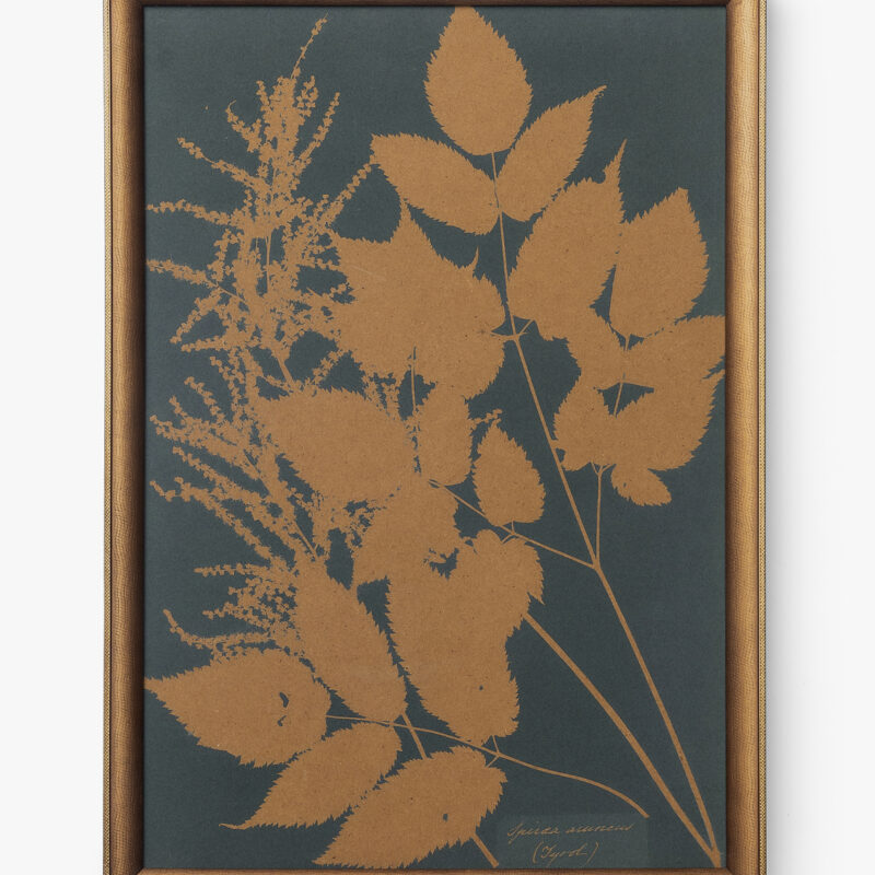 Copper Botanical 4 McGee & Co.