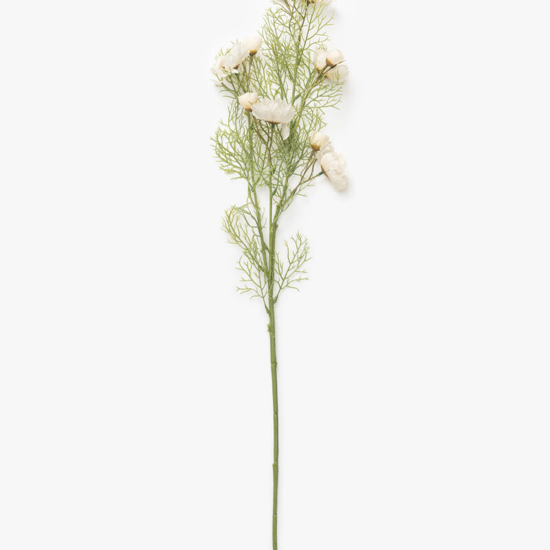 Cream Cosmos Stem McGee & Co.