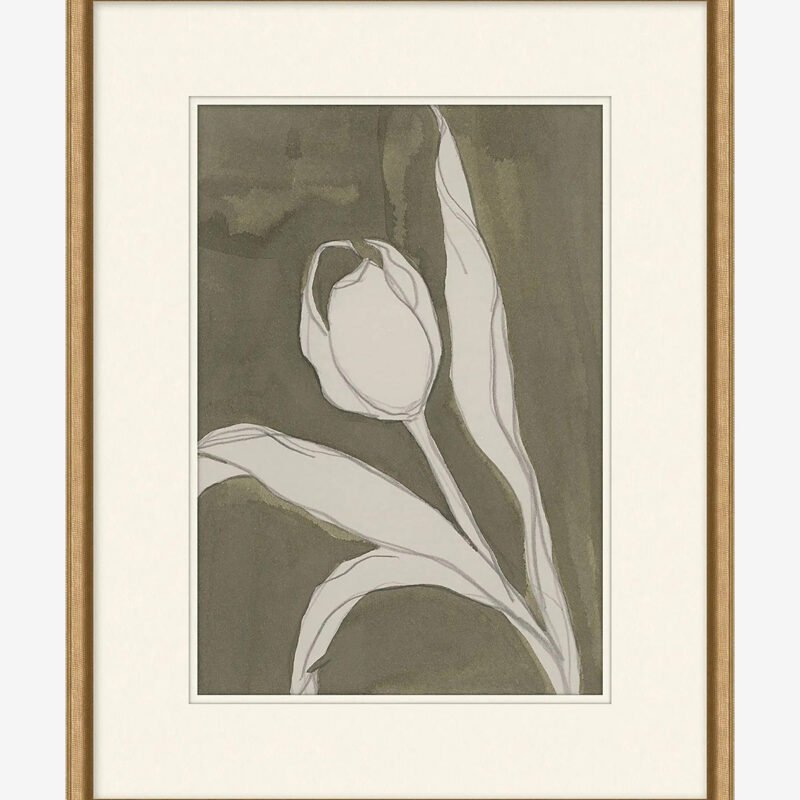 Delicate Tulip I by Rebekah Webb McGee & Co.