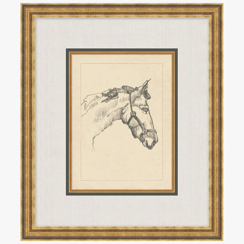 Equine Lines 1 McGee & Co.