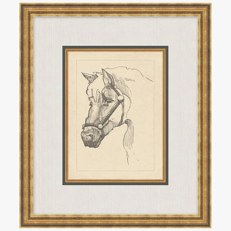 Equine Lines 2 McGee & Co.