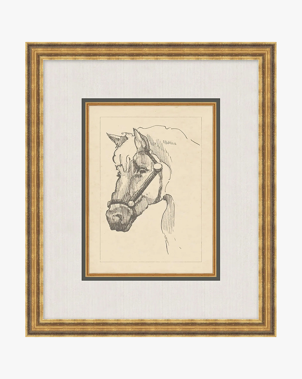Equine Lines 2 McGee & Co.
