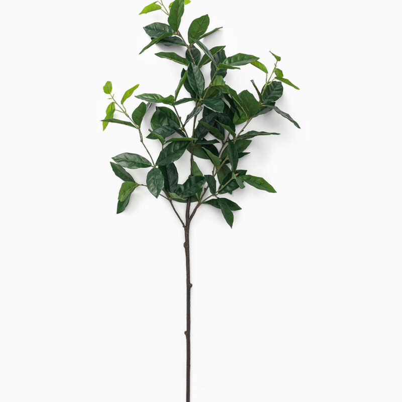 Faux Laurel Leaf Branch McGee & Co.