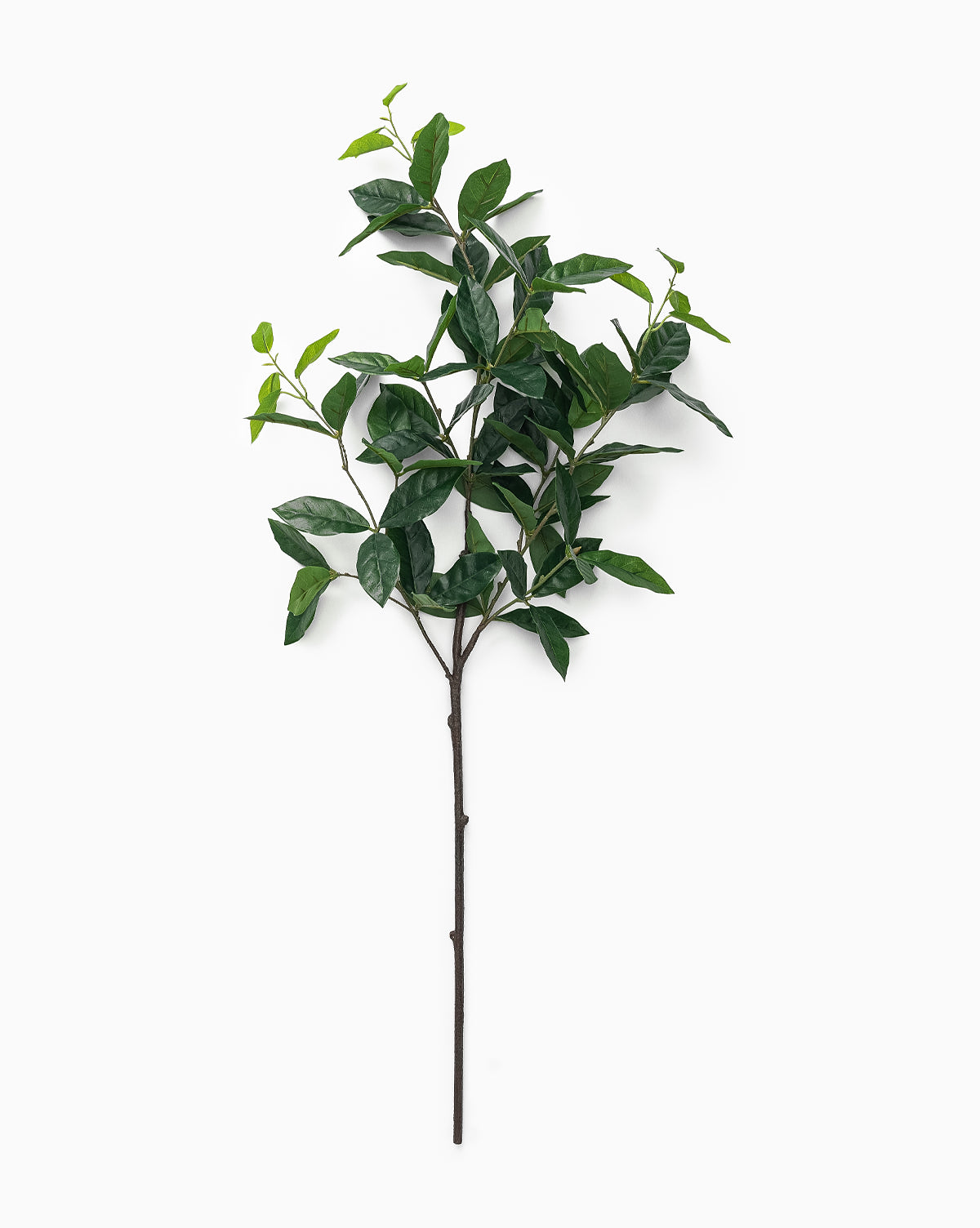 Faux Laurel Leaf Branch McGee & Co.