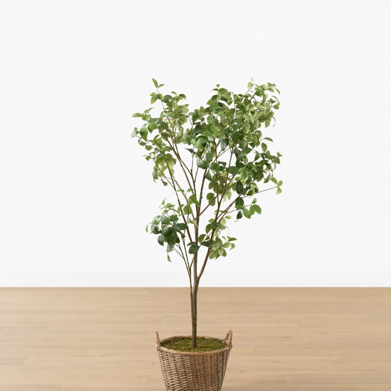 Faux Tangerine Tree McGee & Co.