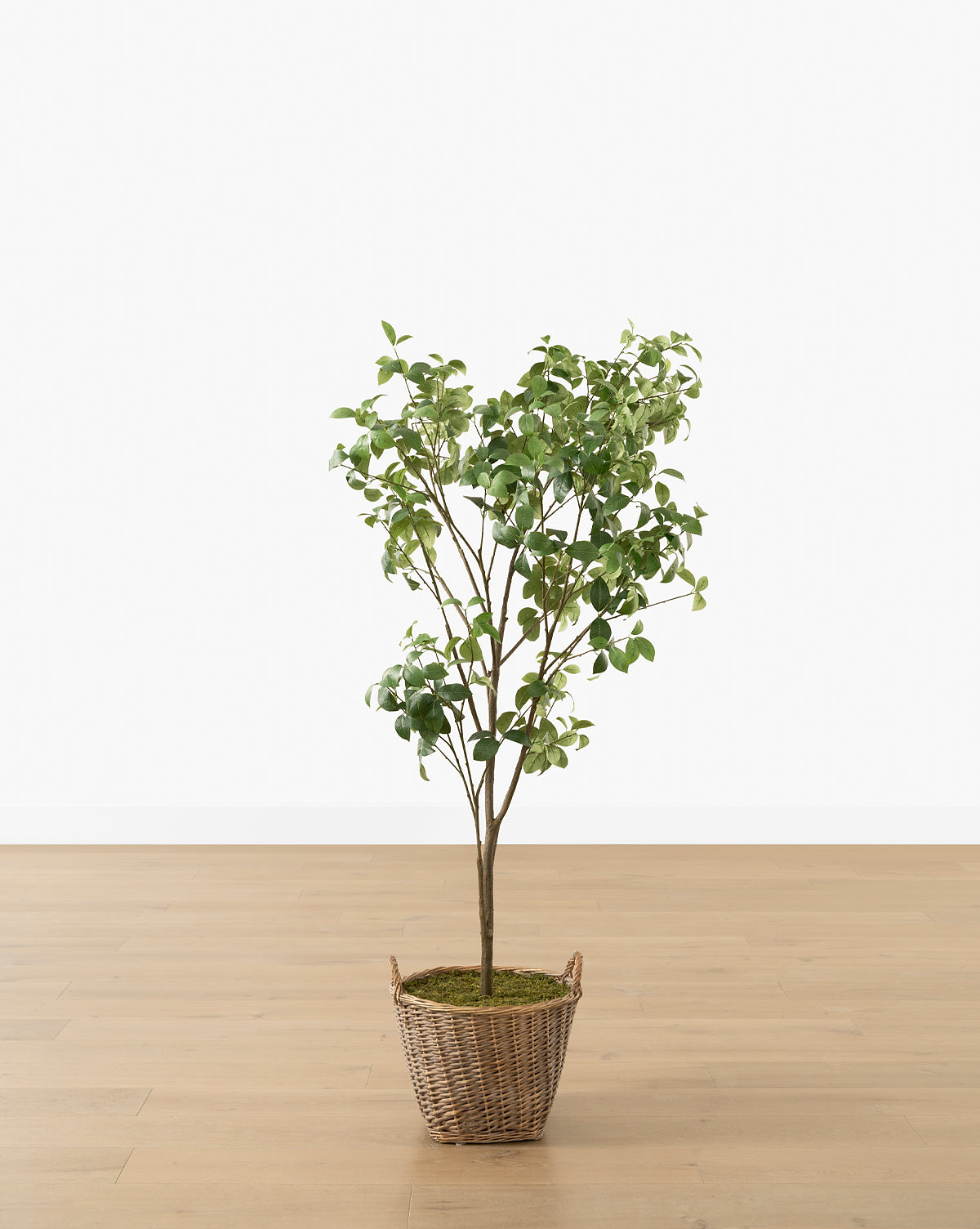 Faux Tangerine Tree McGee & Co.