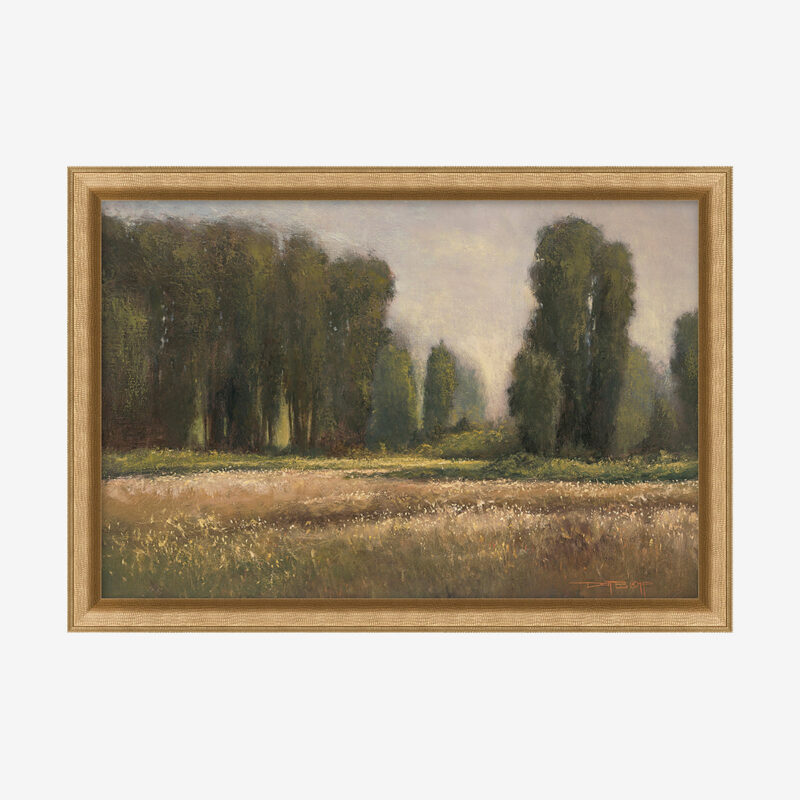 Field in Summer McGee & Co.