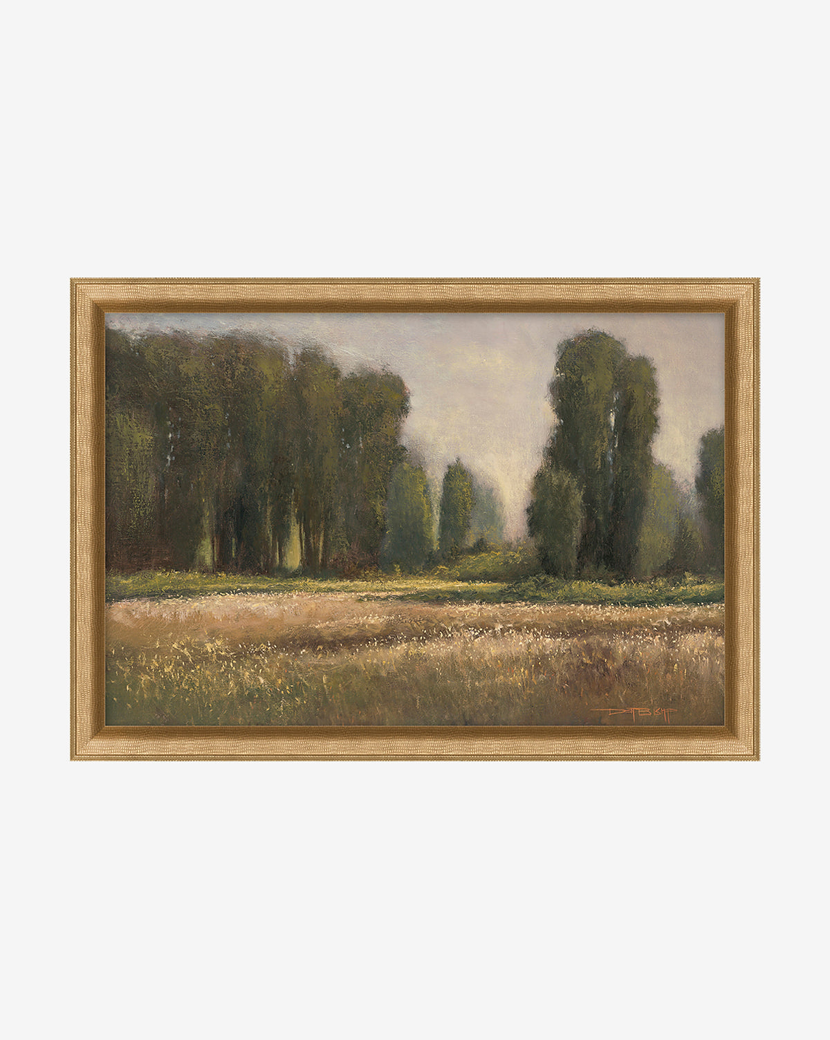 Field in Summer McGee & Co.