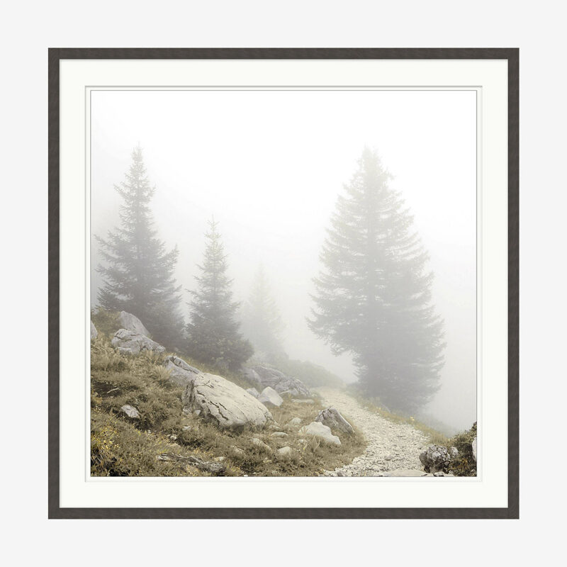 Foggy Mountain I McGee & Co.