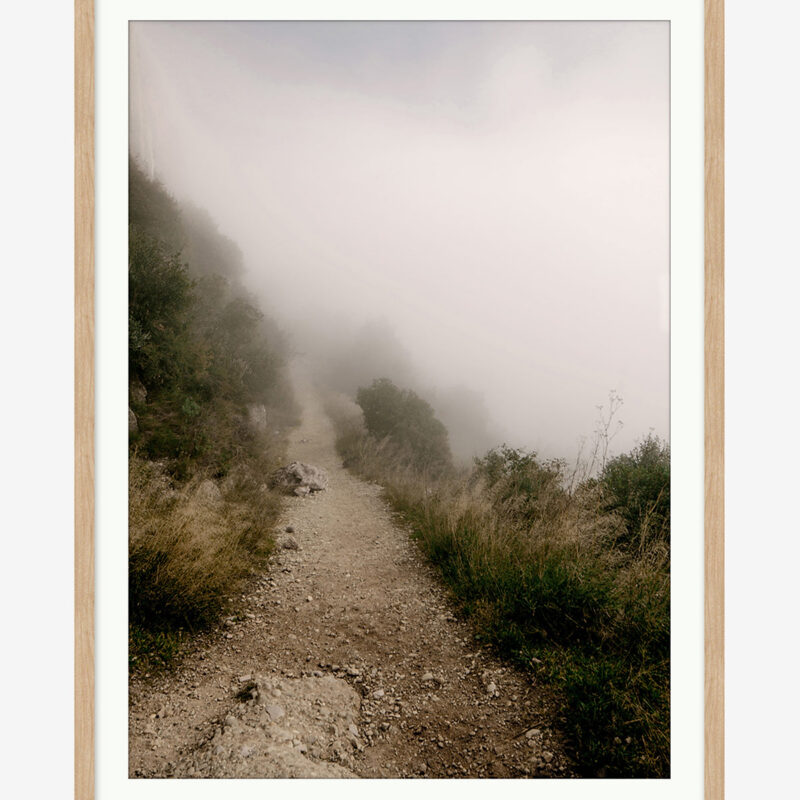 Foggy Path McGee & Co.