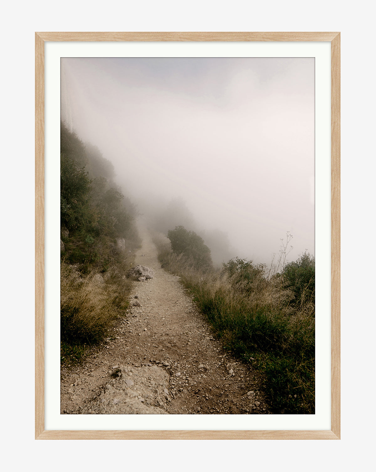 Foggy Path McGee & Co.