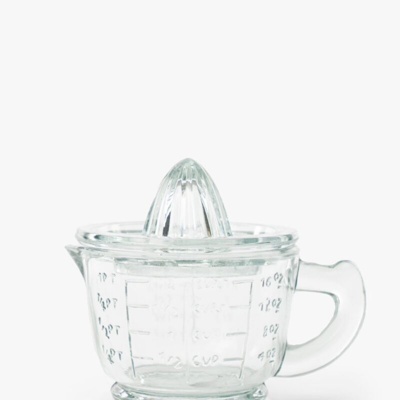 Glass Juicer with Measuring Cup McGee & Co.