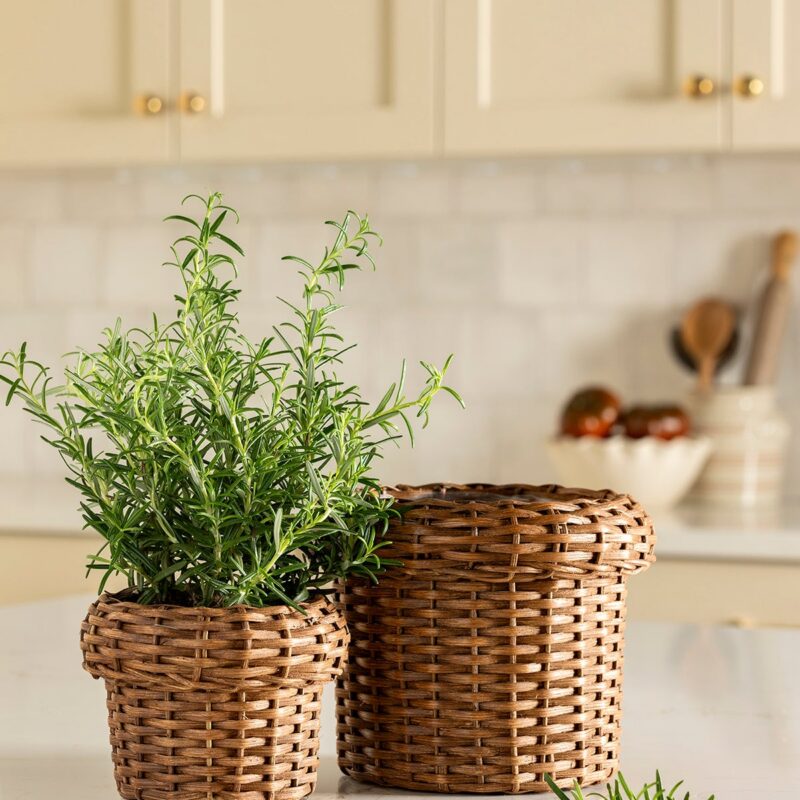 Huger Woven Planter McGee & Co.