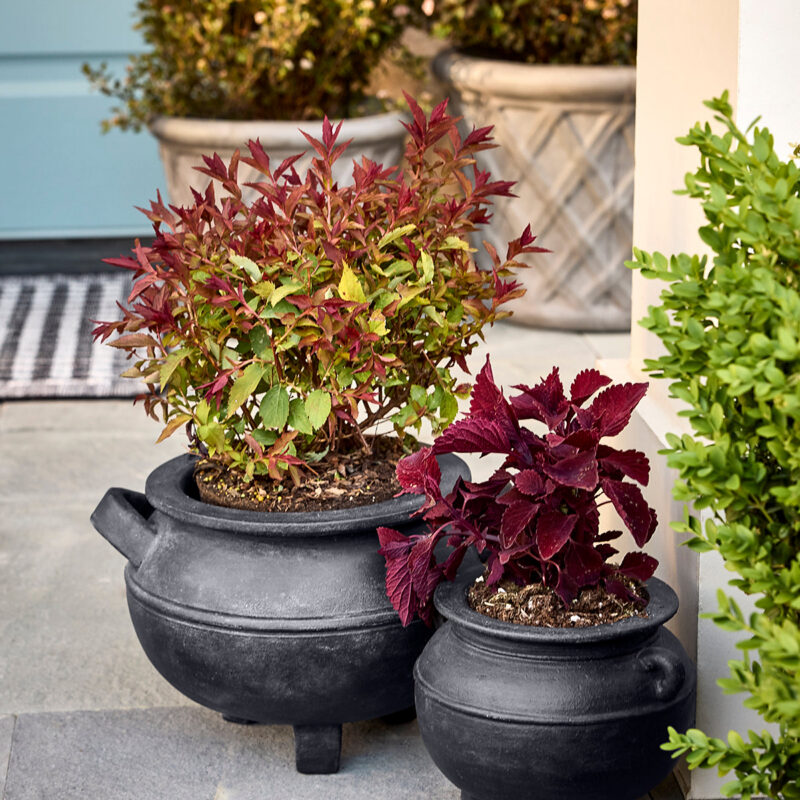 Midnight Cauldron Planter McGee & Co.