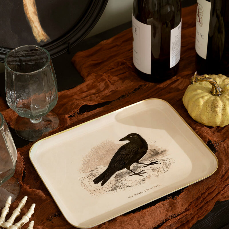 Raven Enamel Tray McGee & Co.