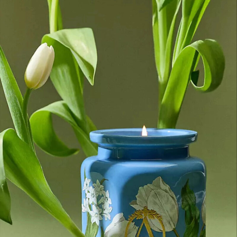 Apothecary 18 Floral Tulip Fields Ceramic Candle